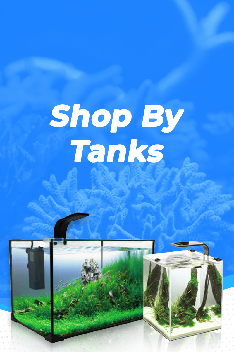 Tanks Stock