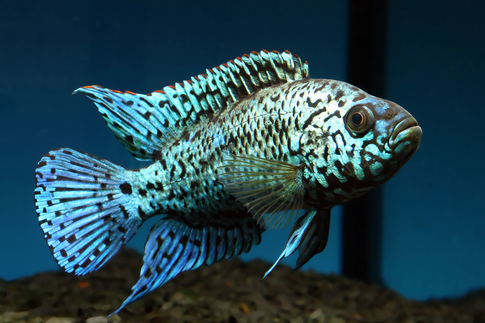 1e436f0e-2274-43fc-b156-96ec83cb5886