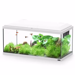 Aquatlantis Explorer Brussels White