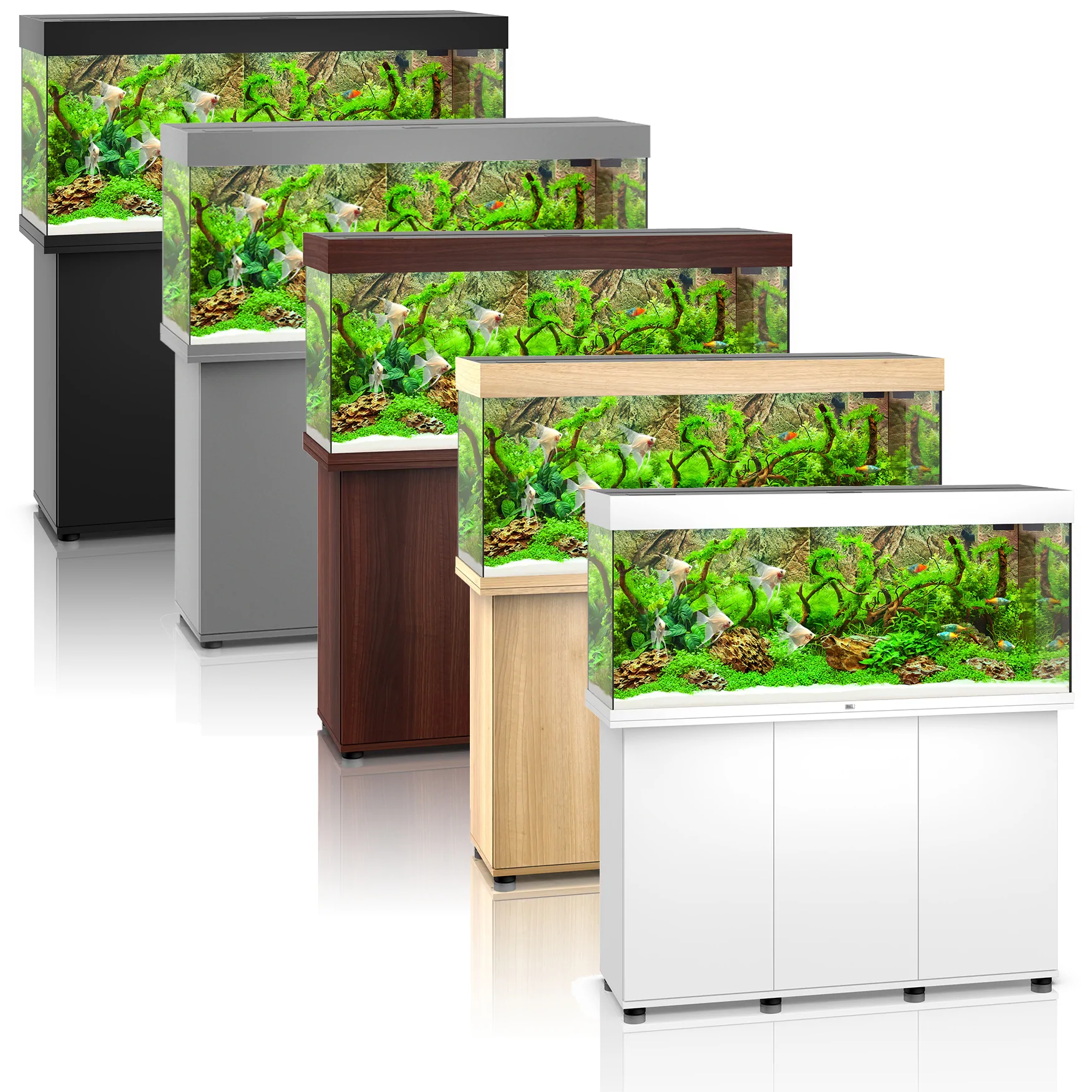 Juwel Rio 240 aquarium range shown in light wood, black, grey and white