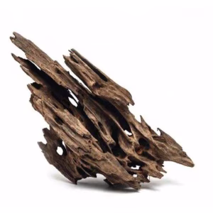 Dragon Wood Small 20-40cm