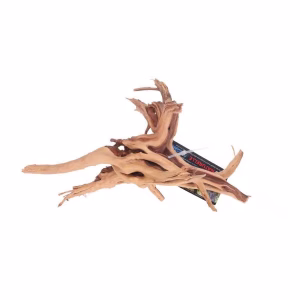 Rare Slim Vine Small 10-30cm