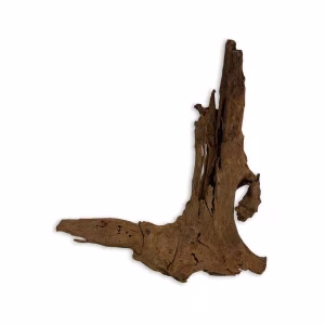 Upright branch of aquarium driftwood