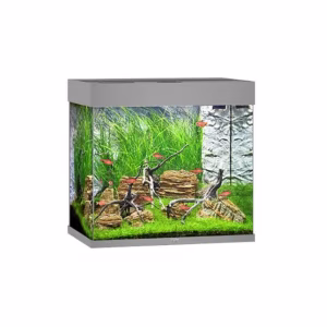 Juwel Lido 120 Grey Aquarium