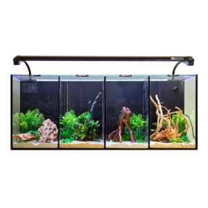 Aqua One Betta Quad Glass Aquarium Black (60L)