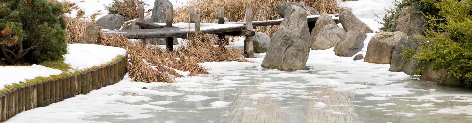 Frozen pond in garden